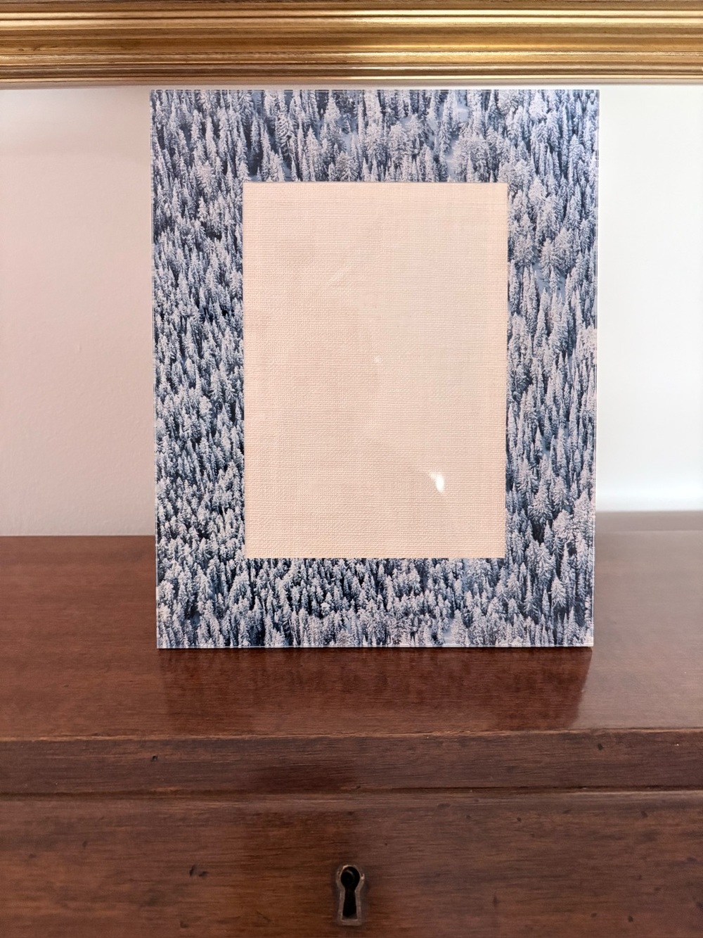 Gray Malin Alpine Snowy Forest Acrylic 5x7 Picture/Frame 8x10